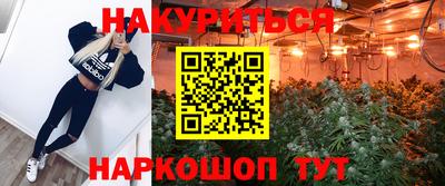 ГАЛЛЮЦИНОГЕННЫЕ ГРИБЫ Тула